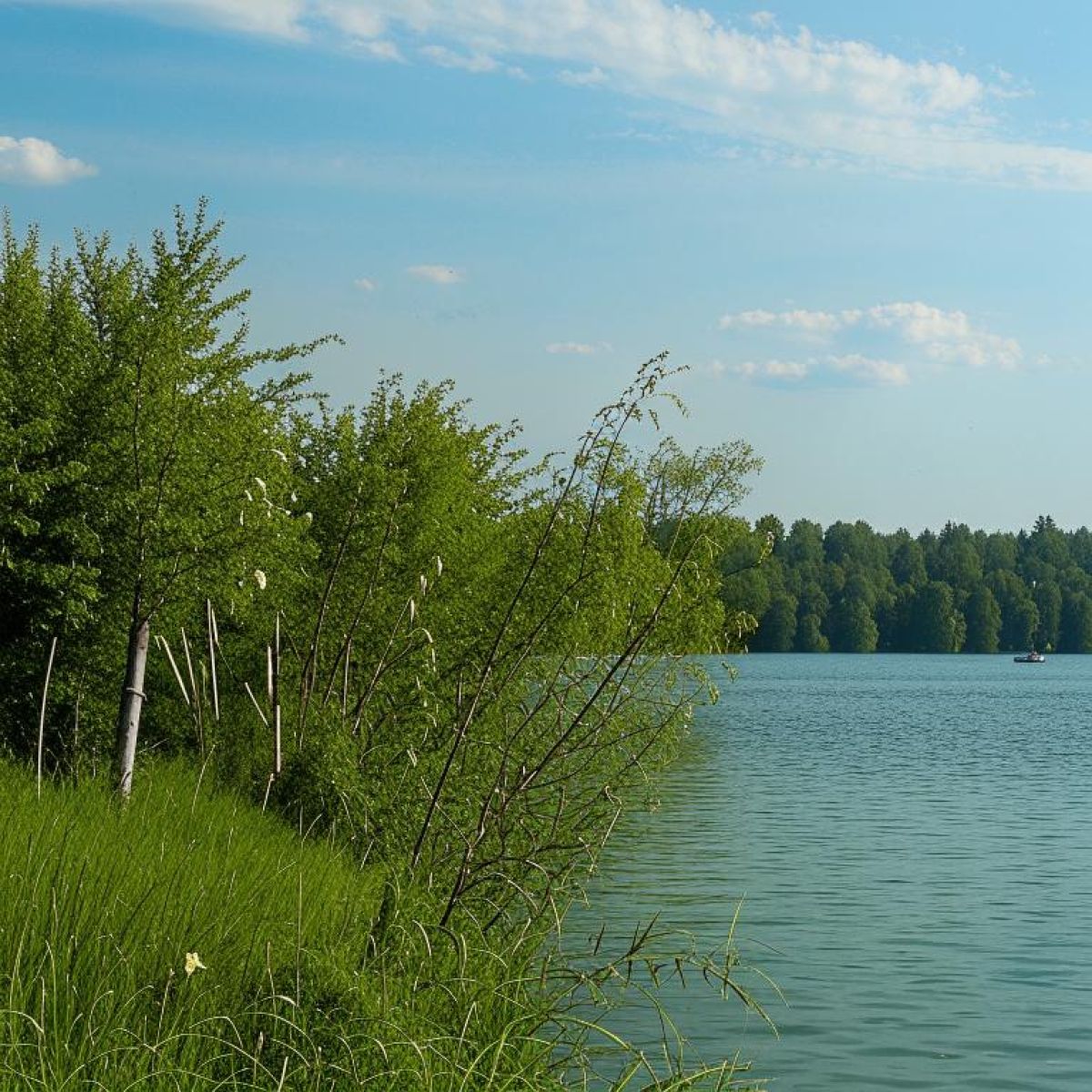 Экскурсии в Пестово: незабываемый отдых на Пестовском водохранилище в бухте любви